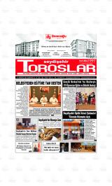SEYDİŞEHİR TOROSLAR