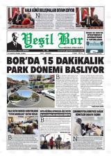 YEŞİL BOR